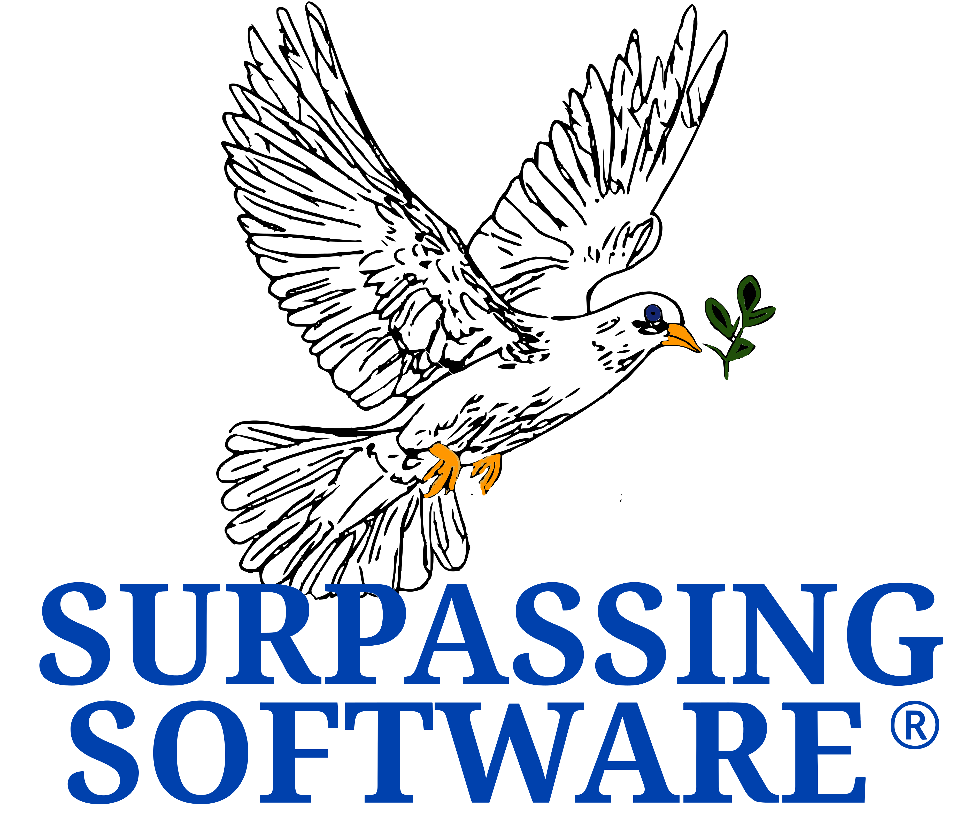 Surpassing Software